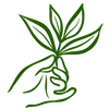 Fresh montly import