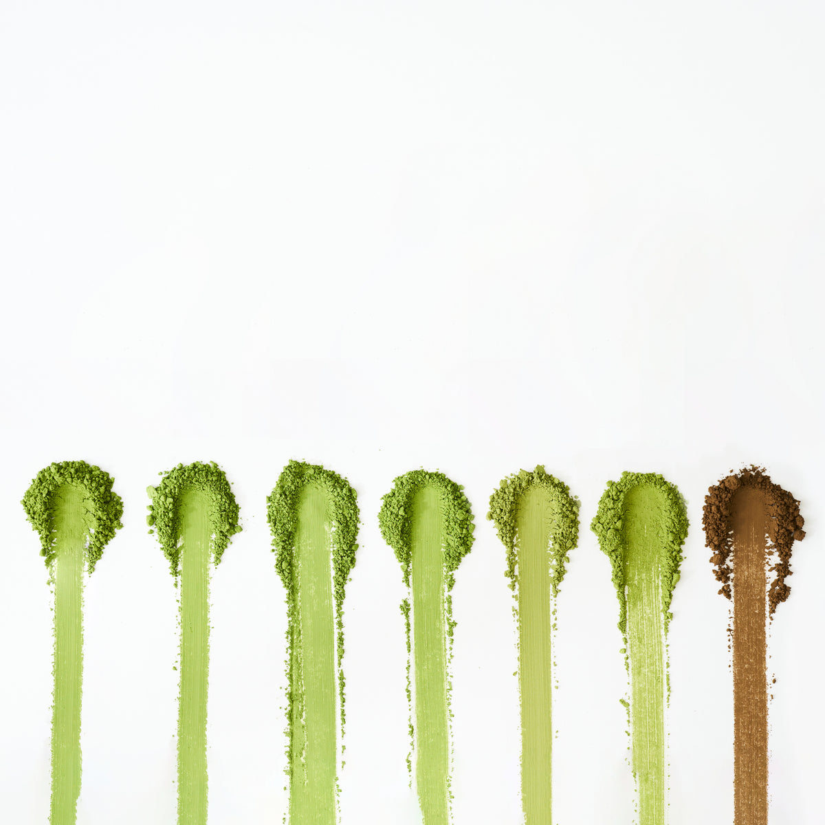 Complete Matcha Mastery Kit