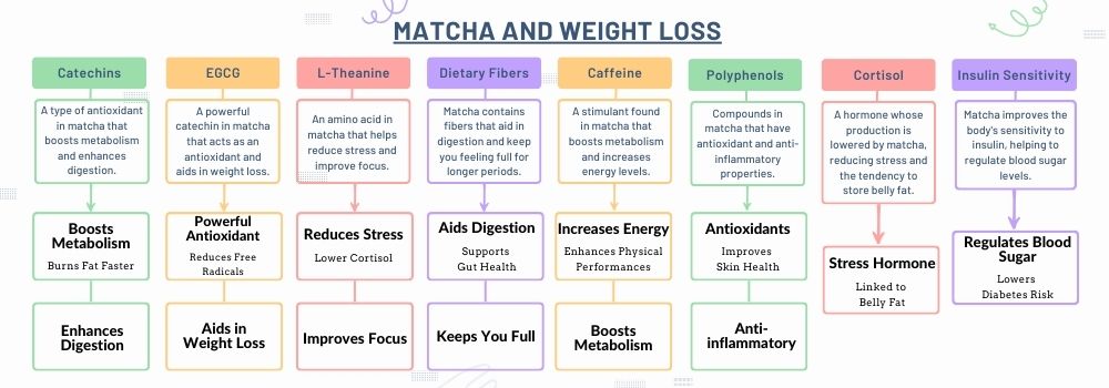 Matcha and Weight Loss: Connecting the dots with Science