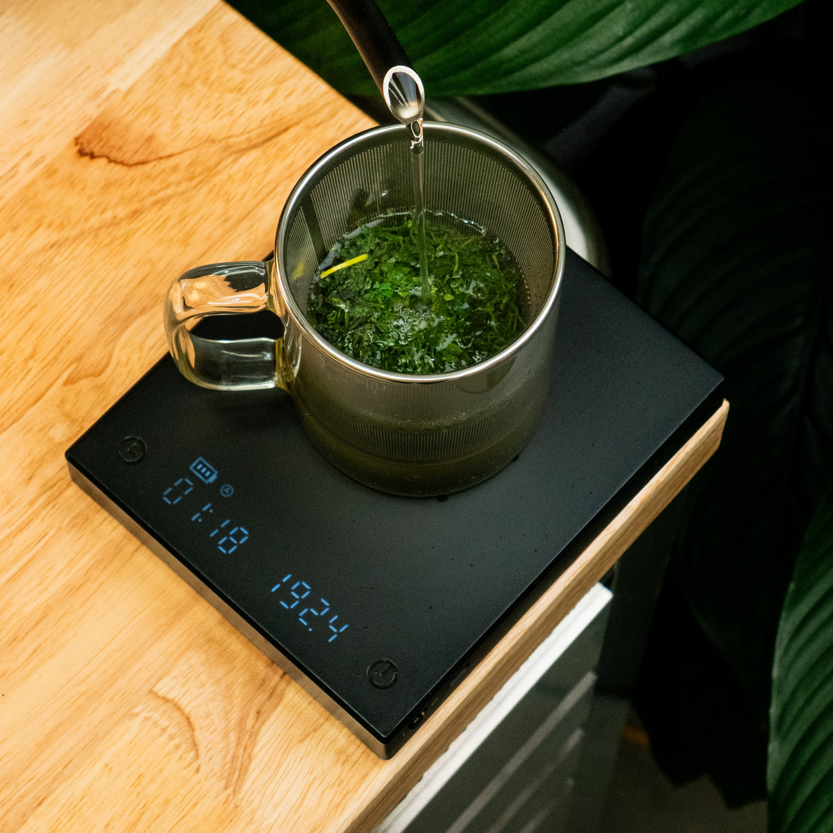 Eternal Empress Sencha Tea