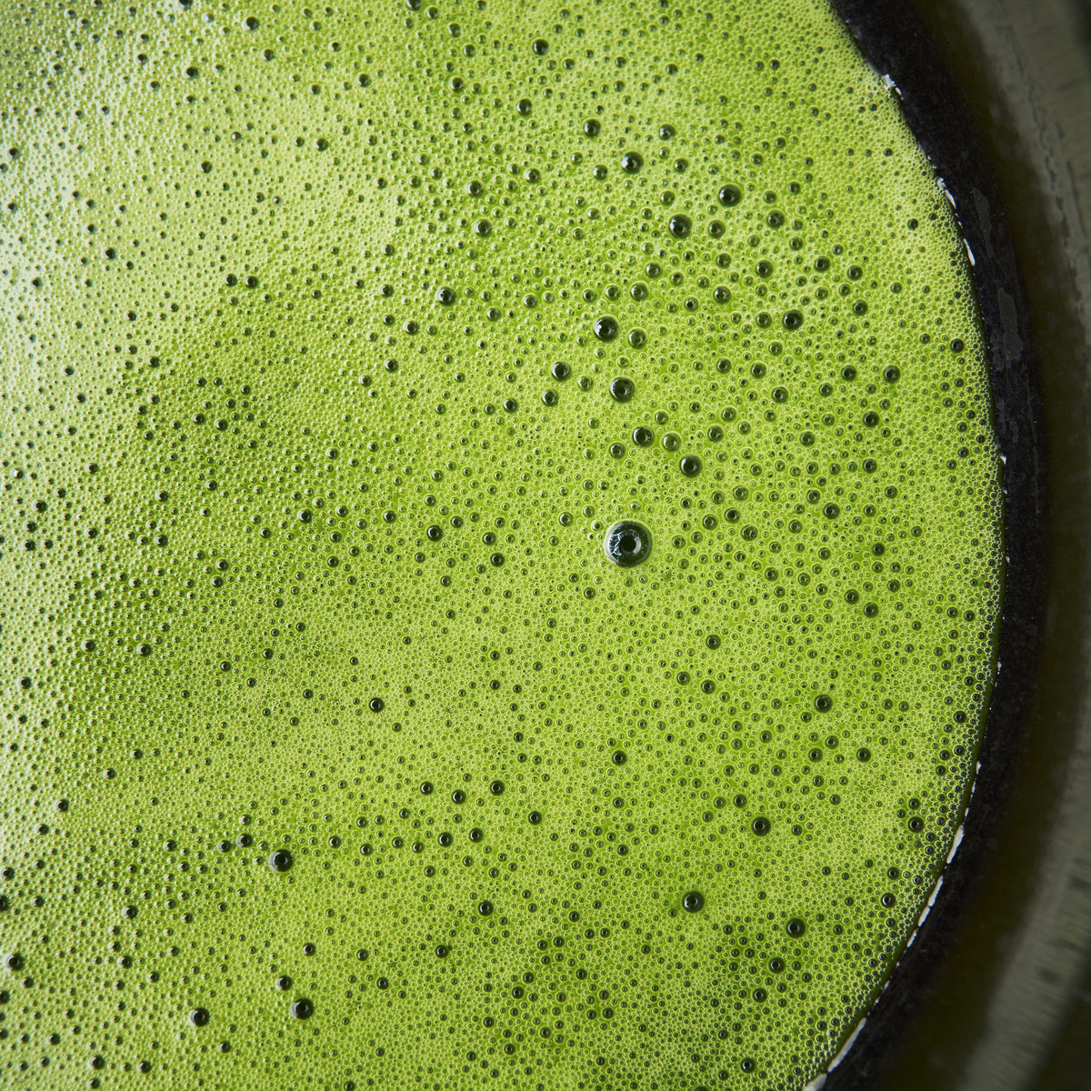 The Masterpiece - Daily Ceremonial Matcha