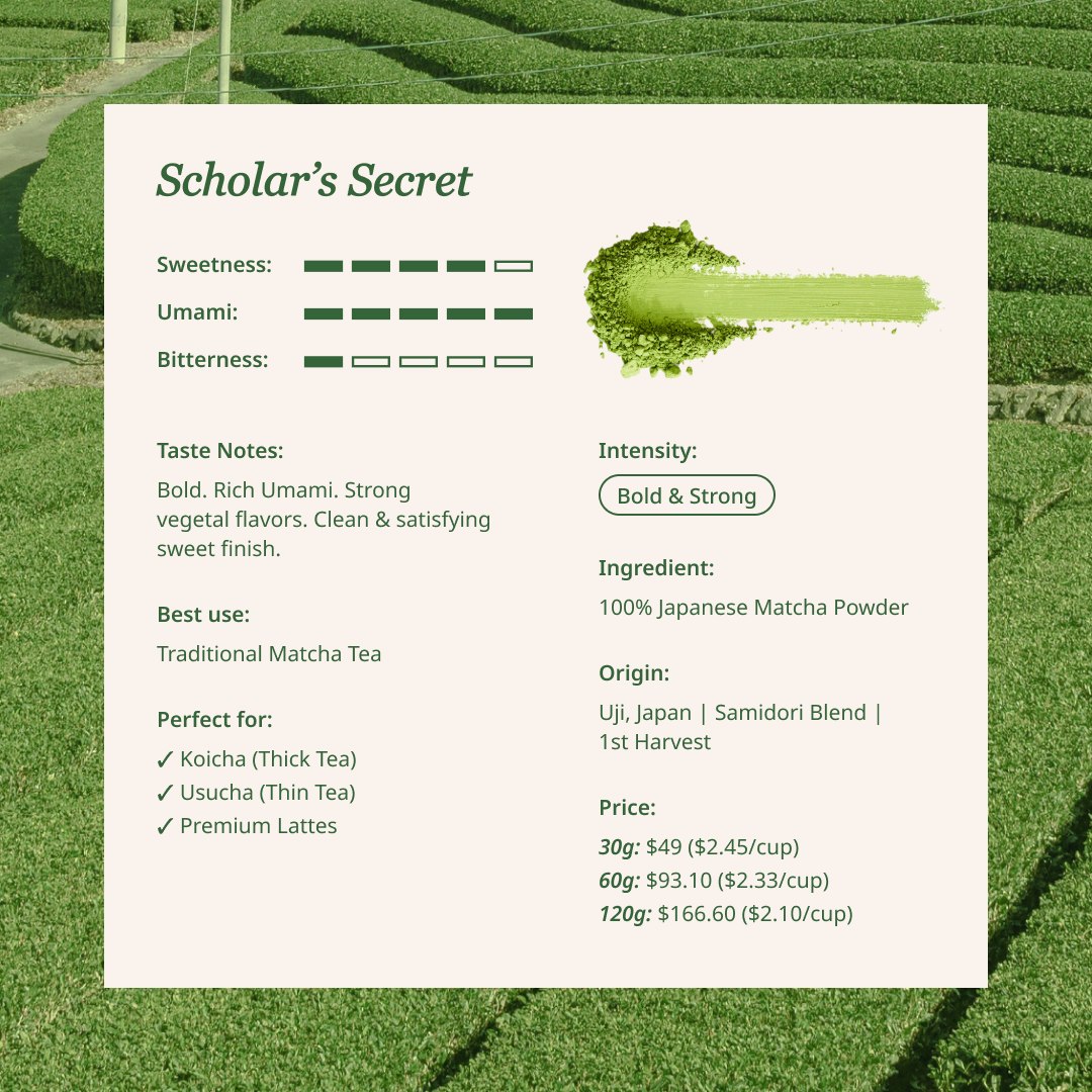 Scholar&#39;s Secret - Supreme Ceremonial Matcha